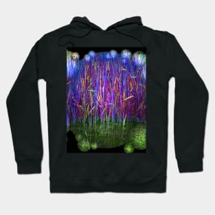 Many Coloured Reeds 2-Available As Art Prints-Mugs,Cases,Duvets,T Shirts,Stickers,etc Hoodie